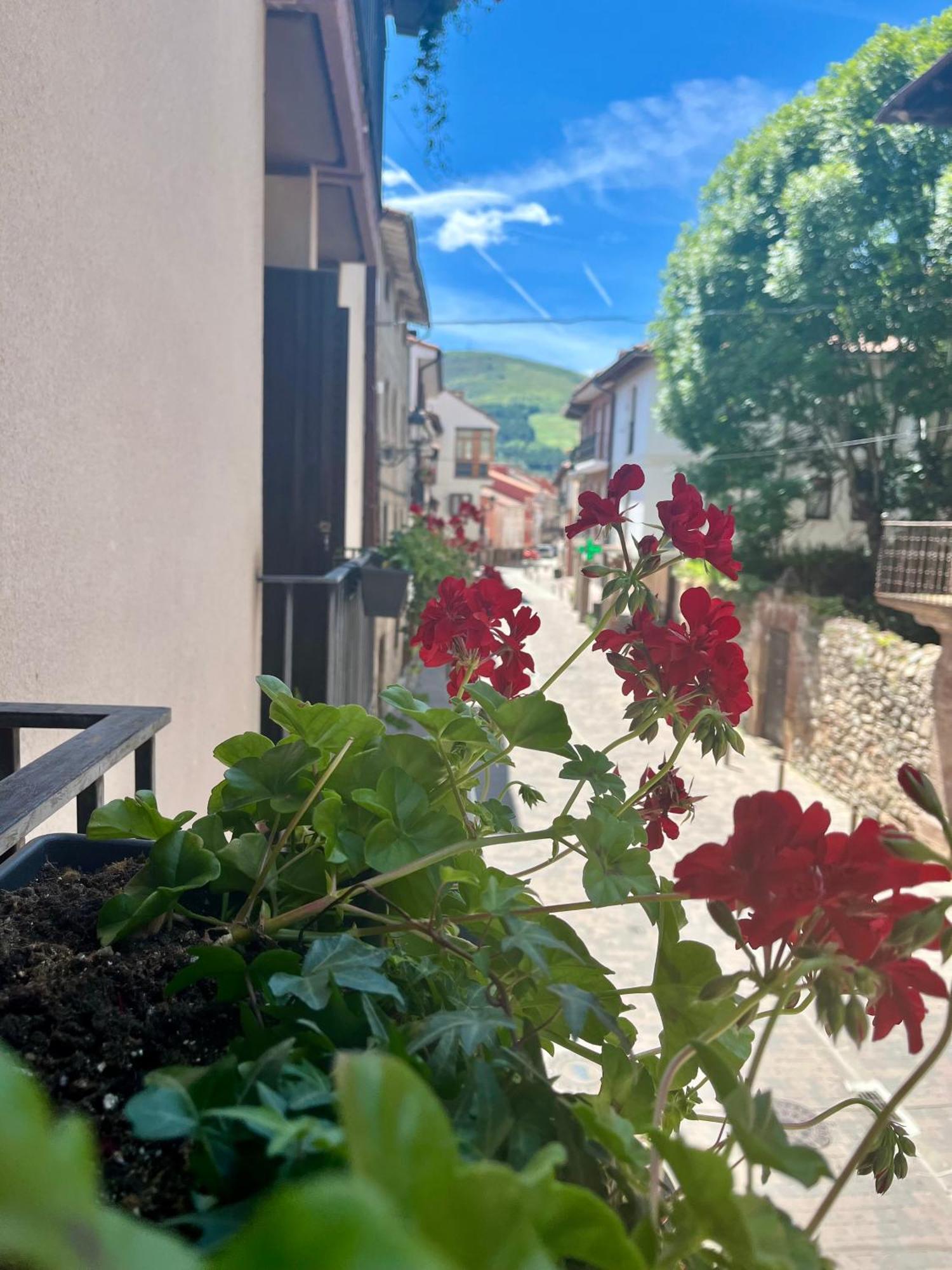 Apartamentos Ubaga Ezcaray Exteriör bild